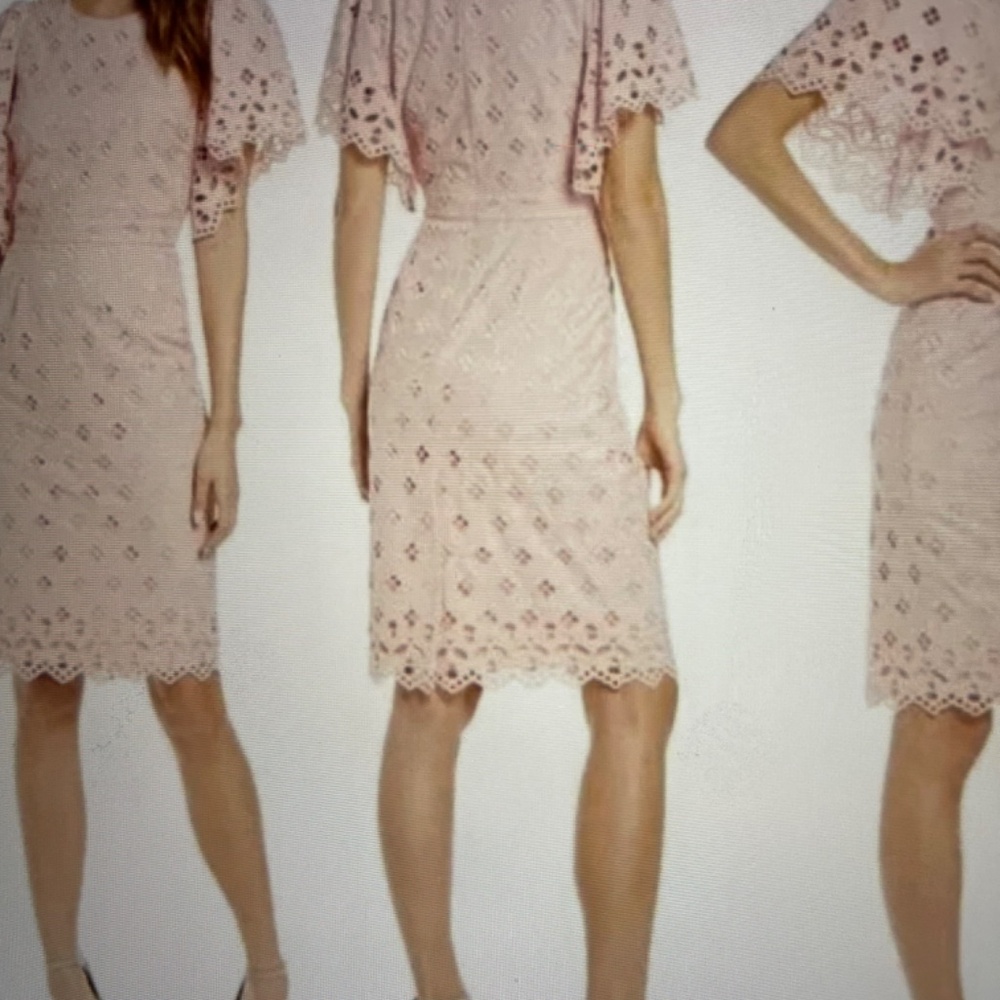 RACHEL PARCELL Women's Pink Eyelet Sheath Pink Midi Dress 2XL (16) - Picture 10 of 12